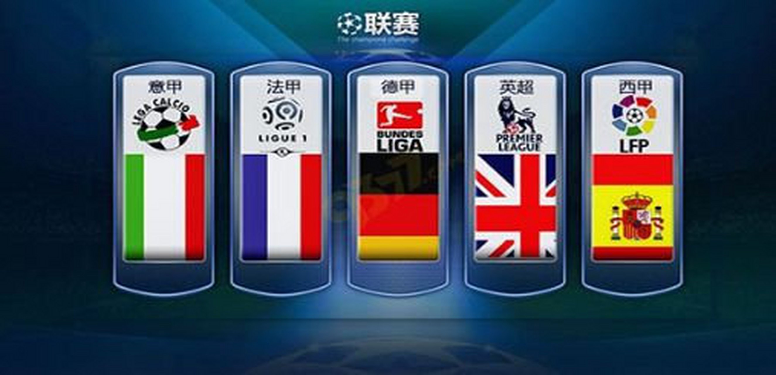 国内都是